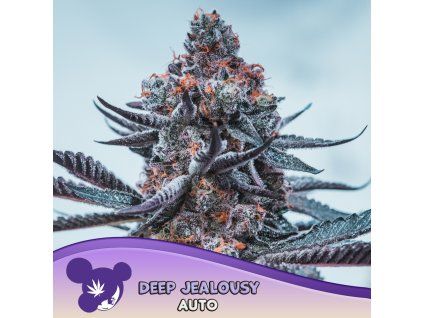 Deep Jealousy Auto 960x960