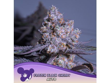 Frozen Black Cherry Auto 960x960