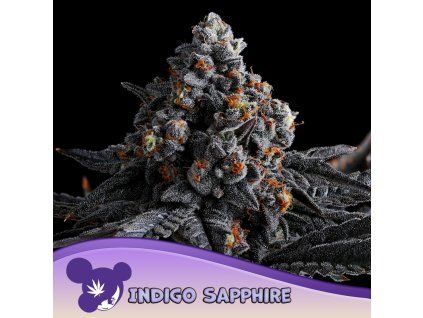 Indigo Sapphire 960x960