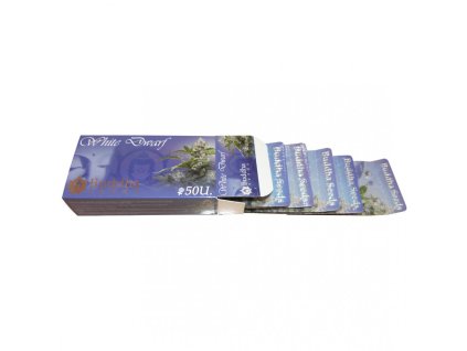 498 1 white dwarf auto buddha seeds 1 semeno