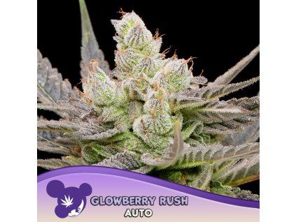 Glowberry Rush Auto 960x960