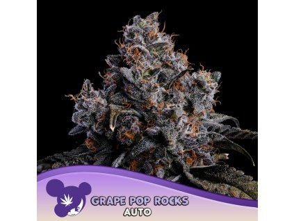 Grape Pop Rocks Auto 960x960
