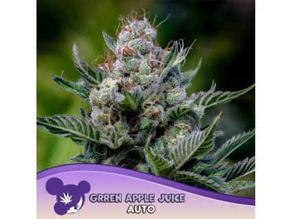 Green Apple Juice Auto 960x960