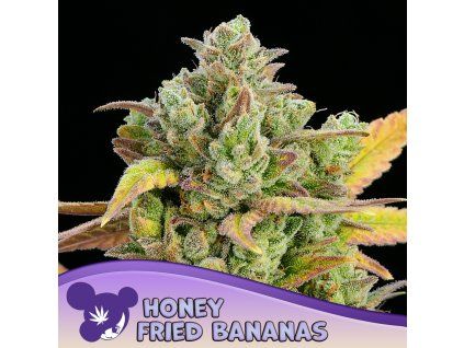 Honey Fried Bananas 960x960