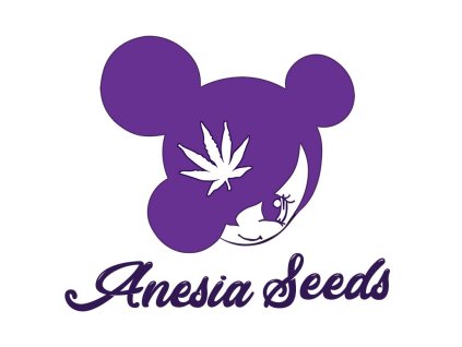 Chaos Cake Anesia Seeds