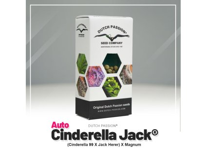 Auto Cinderella Jack Dutch Passion (Počet kusů 1 semeno)