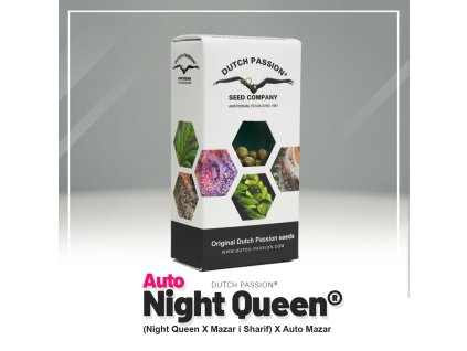 Auto Night Queen Dutch Passion (Počet kusů 1 semeno)