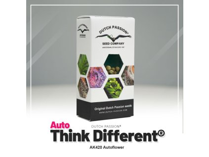 Auto Think Different Dutch Passion (Počet kusů 1 semeno)