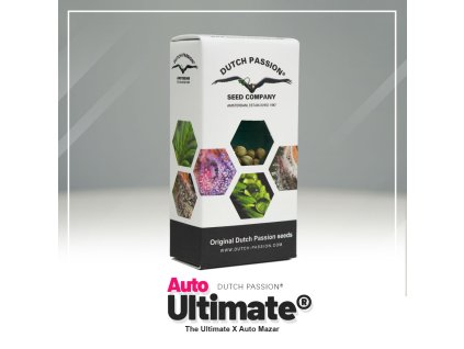 Auto Ultimate Dutch Passion (Počet kusů 1 semeno)