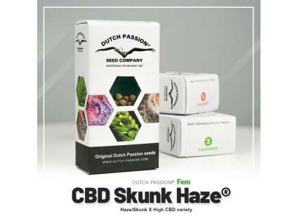 CBD SkunkHaze Dutch Passion (Počet kusů 1 semeno)