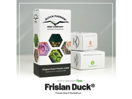 Frisian Duck Dutch Passion (Počet kusů 1 semeno)