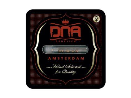 513 1 cannalope haze dna genetics pocet kusu 3 semena