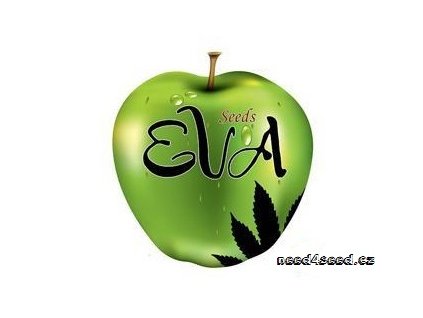 Missing in Barcelona (M.I.B.) Eva Seeds (Počet kusů 3+1 semeno)