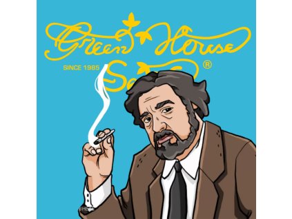 Jack Herer Green House Seeds (Počet kusů 1 semeno)