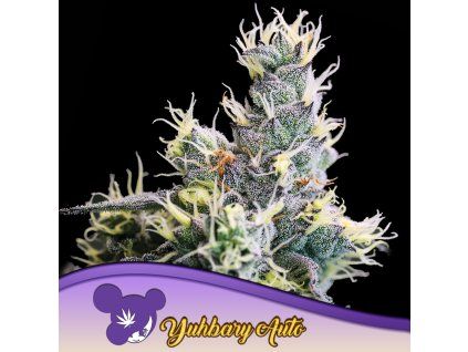 Yuhbary Auto 960x960