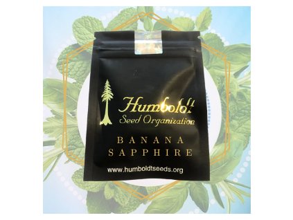 banana saphire Humboldt seed organization