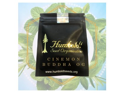 cinemon buddha og Humboldt seed organization