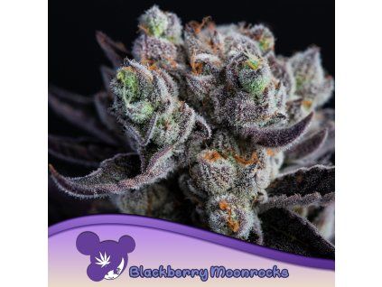 Blackberry Moonrocks 960x960