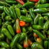 1026 1 chilli jalapeno early semena 10 ks