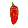 Chilli Jalapeno Early semena 10 ks