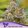 Big Bazooka Auto 960x960