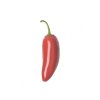 Chilli Jalapeno sazenice 1 ks