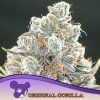 Original Gorilla 960x960