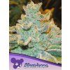 Slurricane 600x800 1