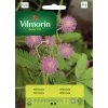 3159 mimoza vilmorin premium 0 8 g
