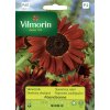3174 1 slunecnice rocni abendsonne vilmorin premium 0 5 g