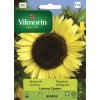3180 1 slunecnice rocni lemon queen vilmorin premium 0 5 g