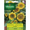 3186 1 slunecnice zakrsla sunspot vilmorin premium 1 g