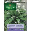 3219 1 cesnek medvedi vilmorin premium 0 4 g