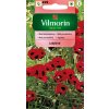 Vilmorin Mak promenlivy Ladybird cerveny