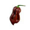 Chilli mix RAINBOW 10 semen