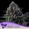 First Lady 960x960