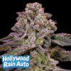 Hollywood Rain Auto Anesia Seeds (Počet kusů 5 semen)