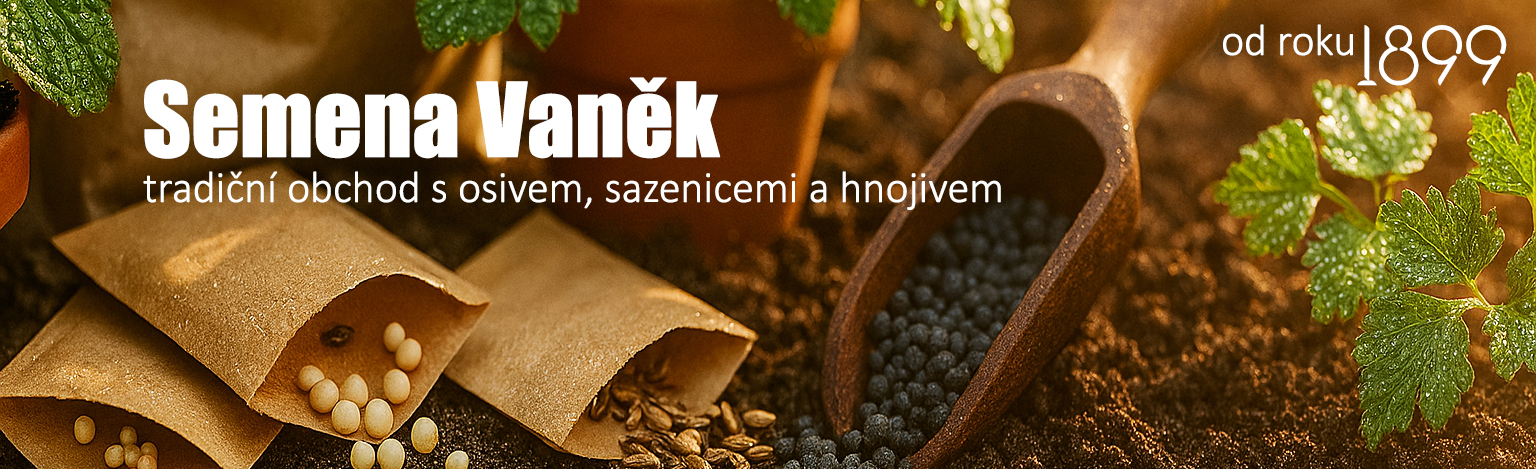 Semena Vaněk