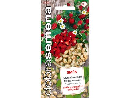 bb9218e7 f4b8 4391 84b0 472464a248af