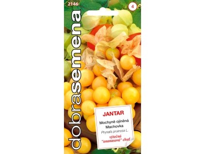 e828714d cca8 4c9e 8ca0 4865370bc79b