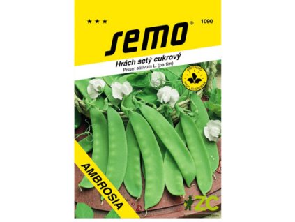 495731f7 daf7 45aa a406 610250919554