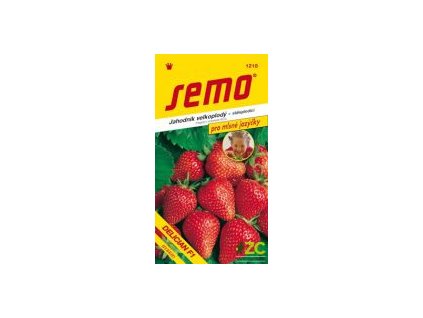 5555847c 047a 4065 bce4 8c20c75d363b