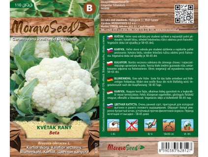 1431mm Květák raný Beta, 62812