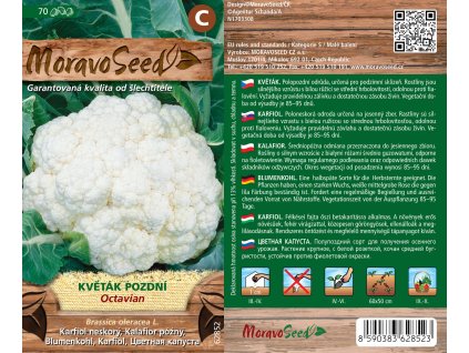 1472mm Květák pozdní Octavian, 62852