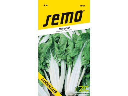 5ba000e4 7582 4620 b5b9 bba47a94d236