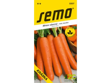 0691ce91 8765 4cad 8b07 8677c75a59a8