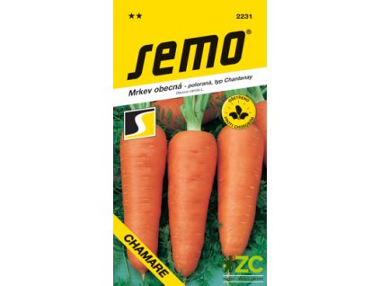 f1c01afe 636a 48c2 b49d f50af1476425