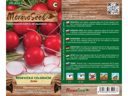 3092mm Ředkvička celoroční Ester, 65923