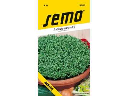 01ad6664 2428 49d7 89f9 1a1e206af2b6