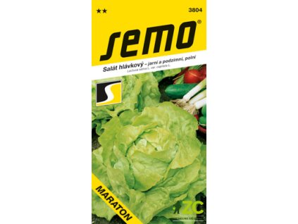 83670068 1fd1 4ff7 bcce 9adc24812ba4